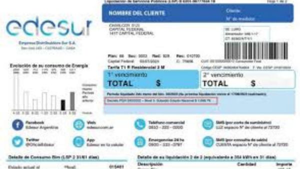 edesur_factura